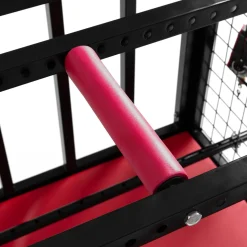 BDSM Cage