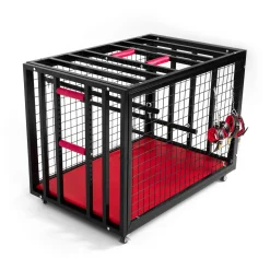 BDSM Cage