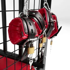 BDSM Cage