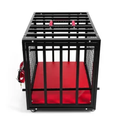 BDSM Cage