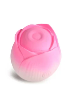 BLOOMGASM - Stimulateur Pétales Pulsants - Rose