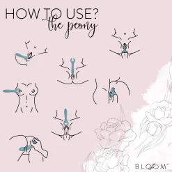 Bloom - The Peony Vibromasseur Couple - Double Vibration
