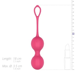 EasyConnect - Boules de Kegel vibrantes Stella contrôlées par application