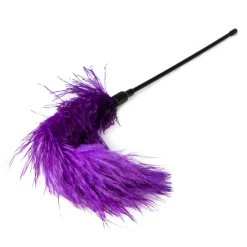 Easytoys Fetish - Fouet à plumes violet