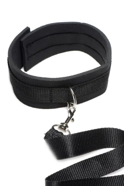 Ensemble laisse et collier Frisky