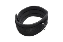 Ensemble laisse et collier Frisky