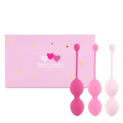 FeelzToys – FemmeFit Kit d’Entraînement Kegel – 3 Pièces
