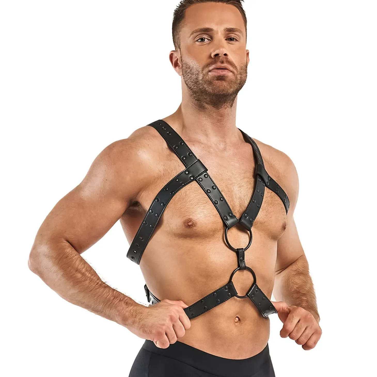 Harnais de bondage Rocco - Noir