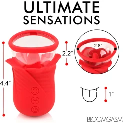 Lily Lover Stimulateur de Clitoris Aspirant et Vibrant