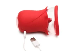 Lily Lover Stimulateur de Clitoris Aspirant et Vibrant