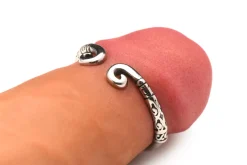 Master Series - Anneau de Glans en Acier Inoxydable - Argent
