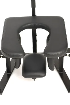 Master Series - Pleasure Throne Oral Sex Chair