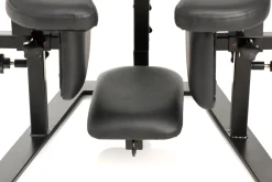 Master Series - Pleasure Throne Oral Sex Chair