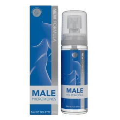 Phéromones Masculines
