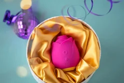 ROMP by Womanizer - Rose Vibromasseur à pression d’air - Rose