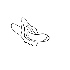 ROMP by Womanizer - Vibro point G