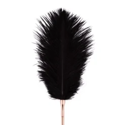 Rosy Gold - Feather Tickler Whip