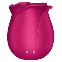Satisfyer Pro 2 Classic Blossom
