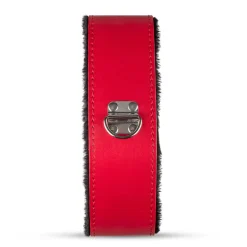 Secret Pleasure Chest X Bedroom fantasies - Coffret Dragon Rouge