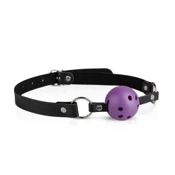 Secret Pleasure Chest X Bedroom fantasies - Coffret BDSM débutant·es 10 accessoires - Violet