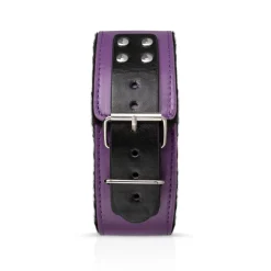 Secret Pleasure Chest X Bedroom fantasies - Coffret BDSM débutant·es 10 accessoires - Violet