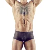 Svenjoyment – Collant Rayé – Semi Transparent