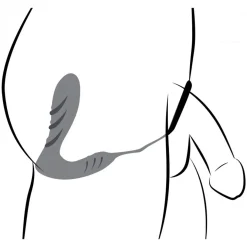 Vibro en silicone pour prostate et sangle avec télécommande