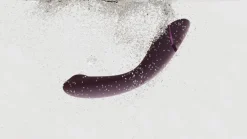 Womanizer OG - Vibromasseur point G - Aubergine